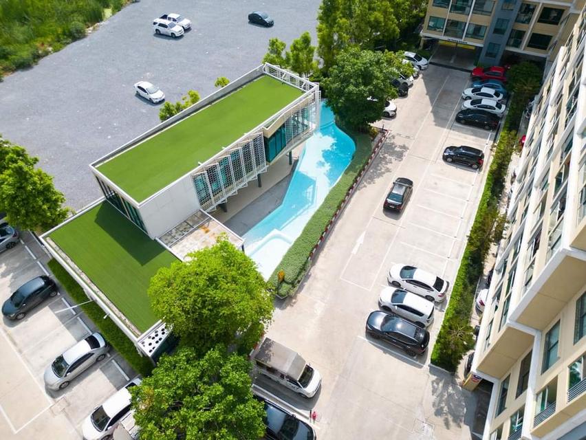 https://www.facebook.com/share/p/1VZjVqJcYe/ คอนโด Polis Condo สุขสวัสดิ์ 64  ดาวน์ 60,000 เฟอร์ครบพร้อมเข้าอยู่  คอนโดผ่อนตรงเจ้าของ/ยื่นกู้นะคะ  16