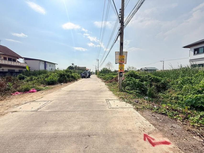 ขายด่วนที่ดิน 75 ตารางวา ติดถนนคอนกรีตสาธารณะ บงกช43 คลองหลวง ปทุมธานี 3