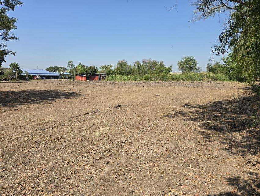 ที่ดินเปล่าถมแล้ว 7 ไร่ ใกล้กรุงเทพ ที่ดินสวย บรรยากาศดี มีทุ่งนา โฉนดครุฑแดง อ.เมือง ต.วังตะเคียน จ.ฉะเชิงเทรา 2