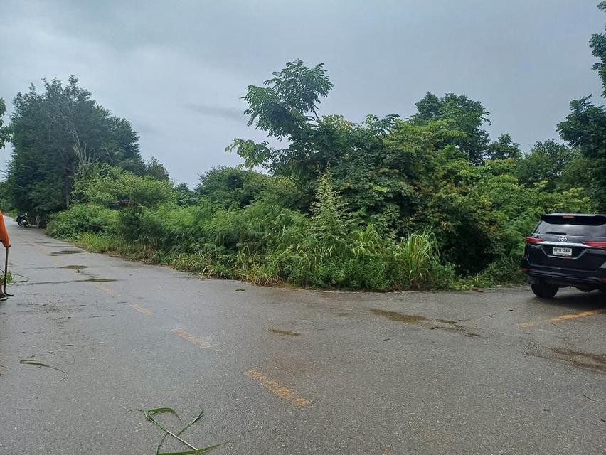 ขายที่ดินเปล่า แปลงมุมติดถนน 2 ด้าน ย่านชุมชน 5