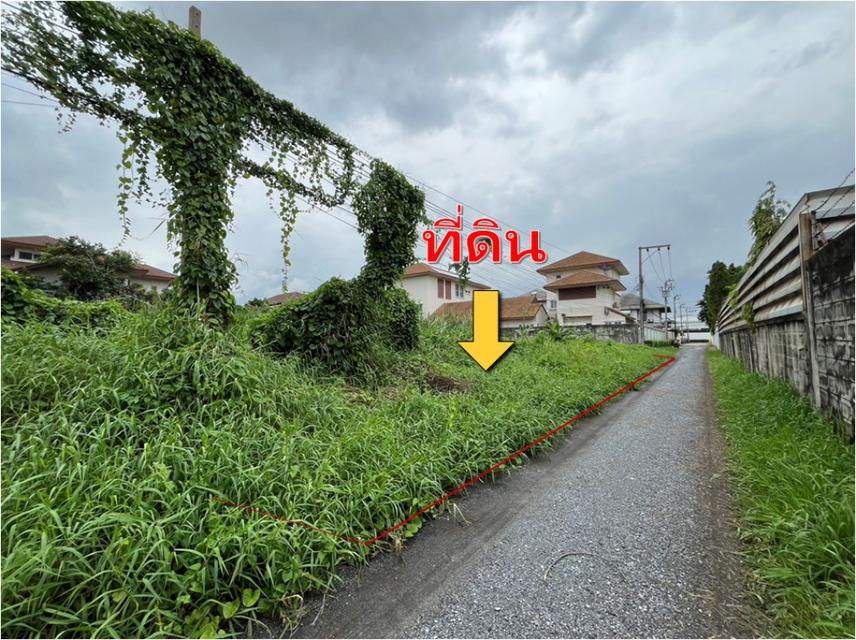 ขาย ที่ดิน ม. สหกรณ์การบินไทย 346 ตรว แจ้งวัฒนะ-ปากเกร็ด 43 เข้าซอยเพียง 350 ม. ใกล้ สถานี เมืองทองธานี 4