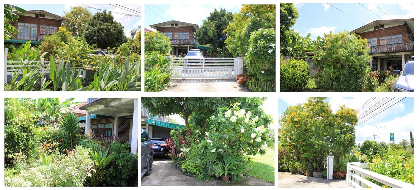 ชายด่วน บ้านพร้อมที่ดิน 4 ไร่ รายละเอียดตามไฟล์แนบ 7
