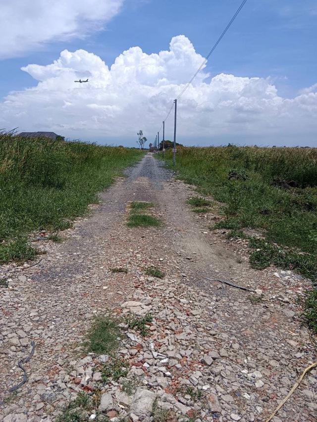 รูป ขายที่ดินเนื้อที่ 210 ตร.ว. ซ.ฉลองกรุง 11 (ลาดกระบัง) เหมาะสร้างบ้านอยู่อาศัย 4