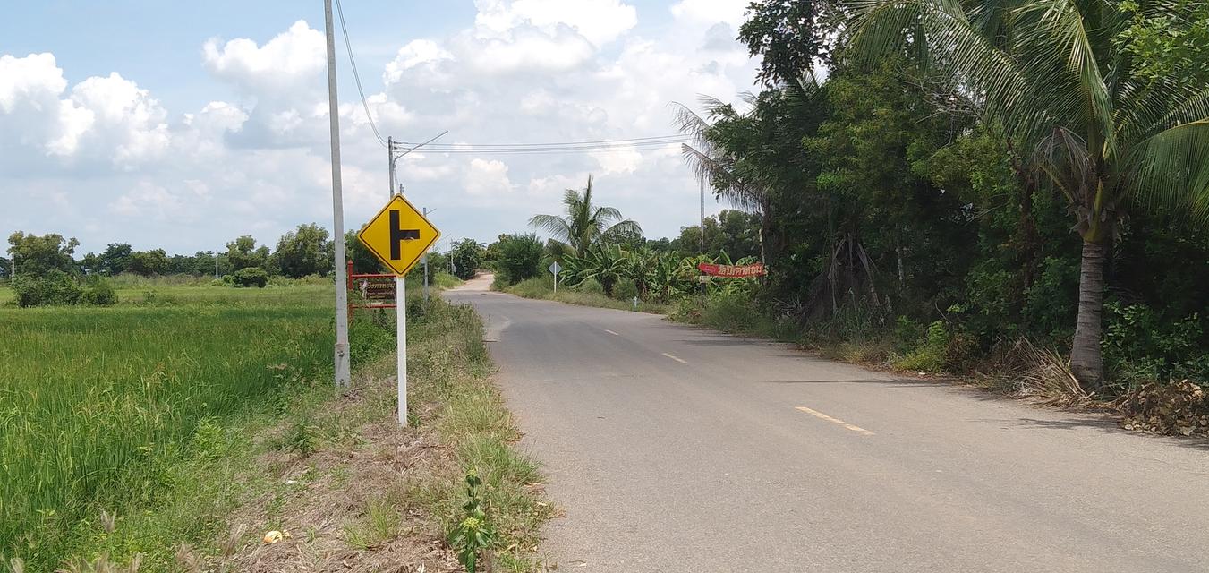 ขายที่ดิน คลอง 21 อำเภอบางน้ำเปรี้ยว จังหวัดฉะเชิงเทรา 5