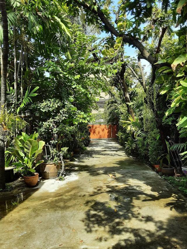 บ้านเดี่ยวเนื้อที่ 446 ตรว. ใจกลางเมือง เหมาะสำหรับลงทุน 15