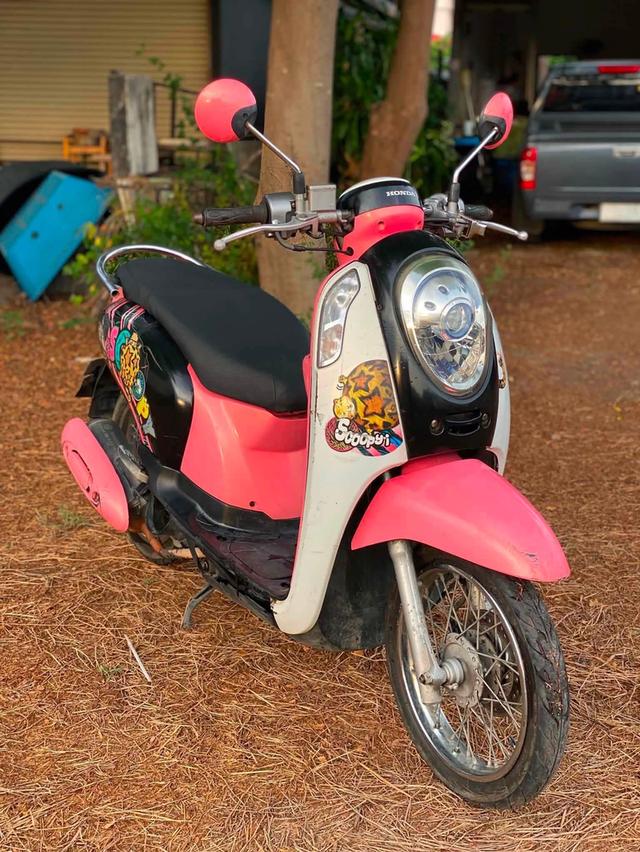HONDA SCOOPY I สีขาวชมพู ปี58 ภาษี 64
