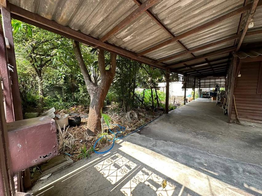 ขายที่ดิน ถ. ประชาราษฎร์ ( ซ.วัดลานนาบุญ ) ถ. นครอินทร์ , ใกล้ บิ๊กซี ติวานนท์ , MRT (สะดวกแม้ไม่ใช้รถ เดินสบายใกล้ถนนใหญ่เพียง 2 นาที) 12