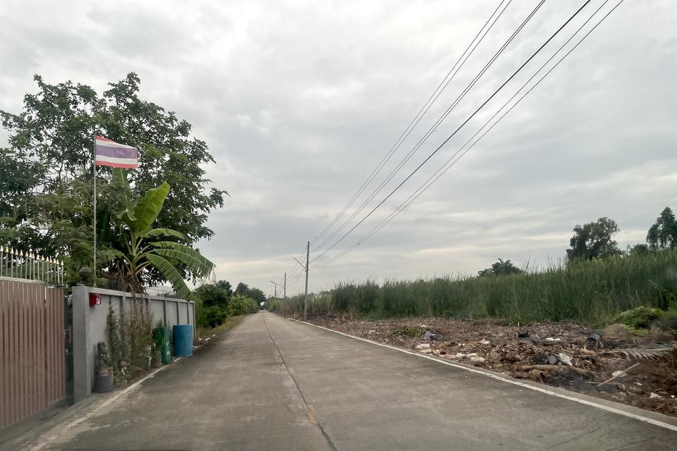 ขายที่ดิน 1 ไร่ คลอง 10 หนองเสือ ปทุมธานี 098 7755 808 8