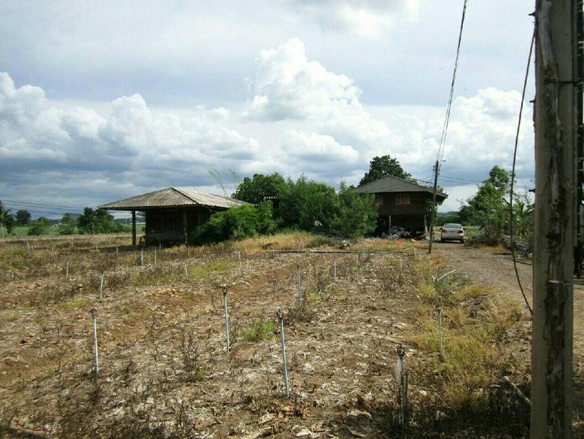 ขายที่ดินต.คลองม่วง อ.ปากช่อง 102 ไร่ ใกล้ Tayama Farm Khaoyai ターヤマ 4