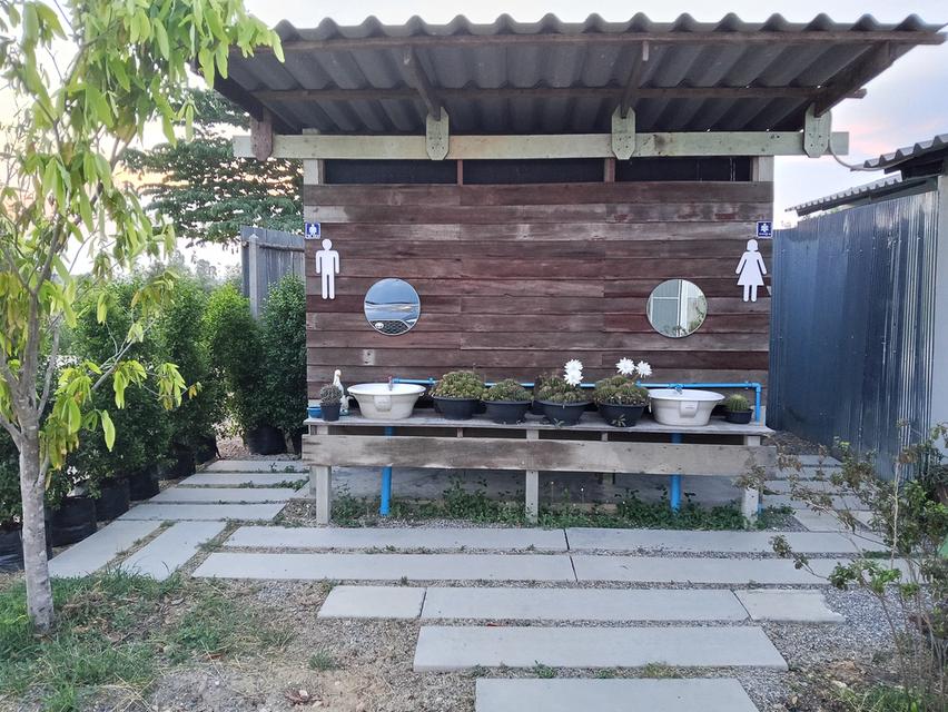 ขายร้านข้าวแกงพร้อมบ้าน 9