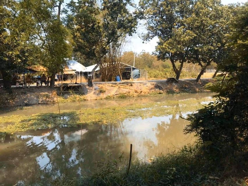 ที่ดินติดน้ำ เมืองนครปฐม 9