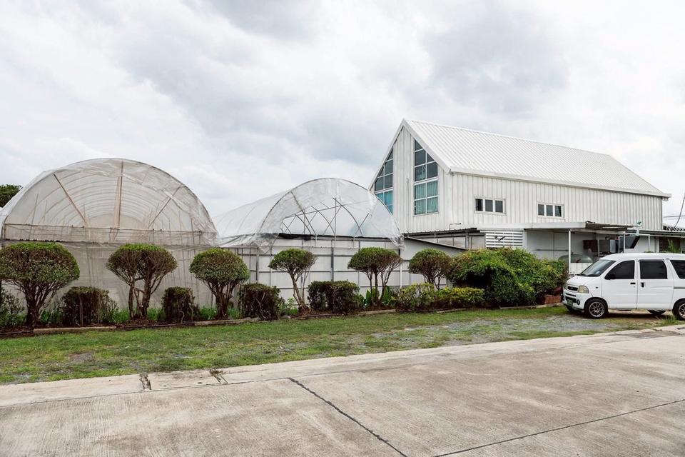 ที่ดินพร้อมสิ่งปลูกสร้างคาเฟ่โรงเรือน เลียบคลองทวีวัฒนาต้นทางเพชรเกษม 11