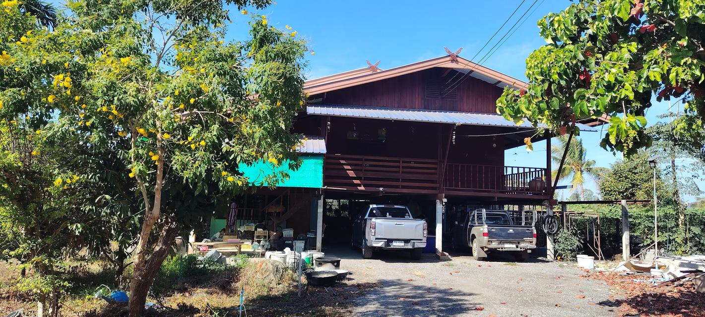 ที่ดินพร้อมบ้านอำเภอเมืองปราจีนบุรี 4