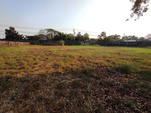 - ประกาศขาย ที่ดิน ที่ดินหมู่บ้านเปล่า รามอินทรา ม.ปัญญาอินทราเฟส 9 30780000 บาท. 1 Rai 1 งาน 13 ตร.วา ไม่ไกลจาก Fashion 4