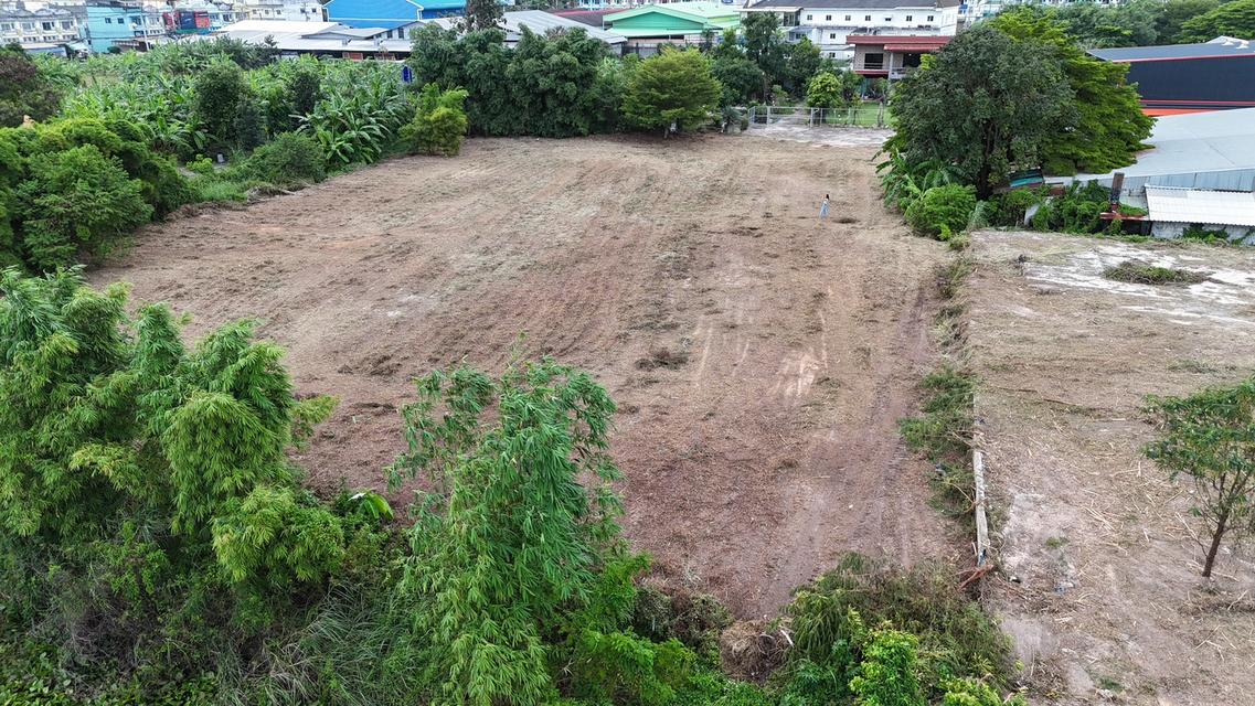 ที่ดิน ระยอง 3 ไร่ 395 ตารางวา 6