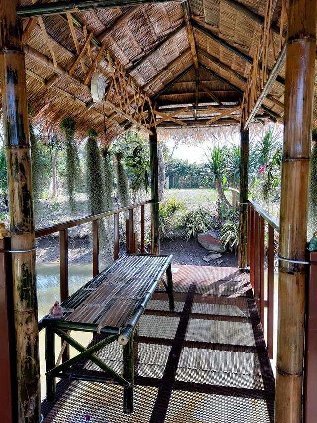 ที่ดินบ้านโป่ง จ.ราชบุรี ใกล้ทางด่วนสาย 81 บางใหญ่-กาญจนบุรี ที่ดินติดน้ำ โฉนดครุฑแดง พร้อมโอนกรรมสิทธิ์ 10