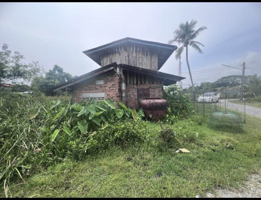 บ้านเดี่ยวพร้อมที่ดิน 3