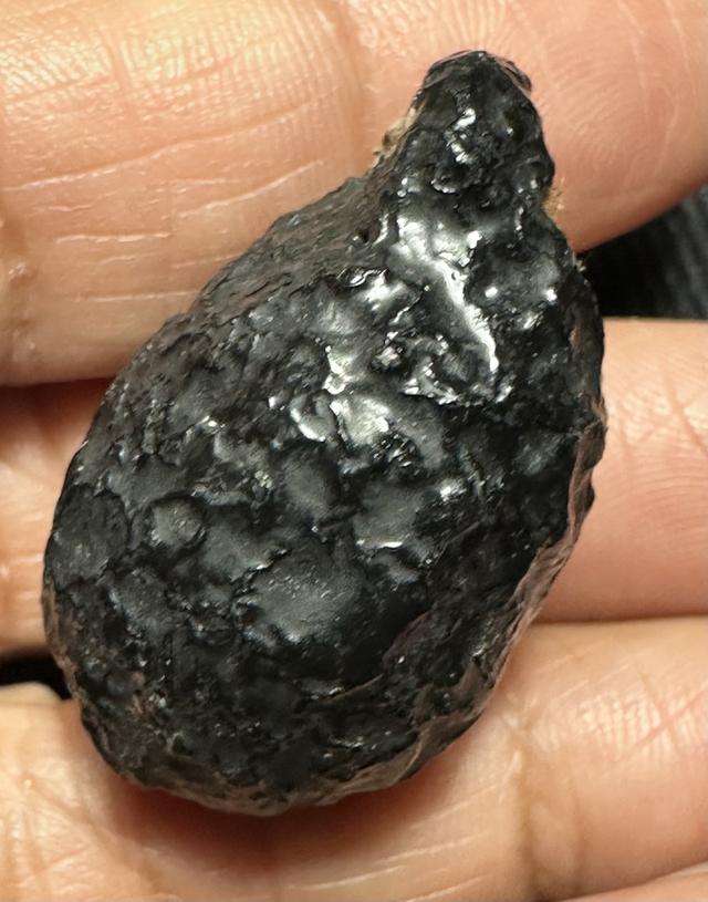 หมากทุยล.ป.เอี่ยม เก่า ลงรักเดิม รูปที่ 4