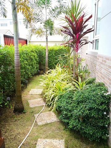 For Rent : Kathu, Single-story detached house, 3 Bedrooms 2 Bathrooms 2