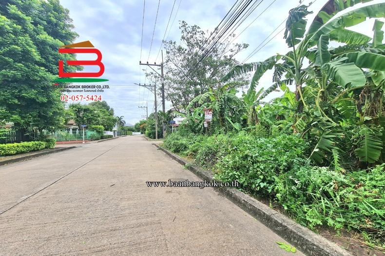 ที่ดินเปล่า หมู่บ้านปาริชาต 345 (โซน B ซอย 15) เนื้อที่ 81 ตร.ว ตำบลบางคูวัด อำเภอเมืองปทุมธานี ปทุมธานี 5