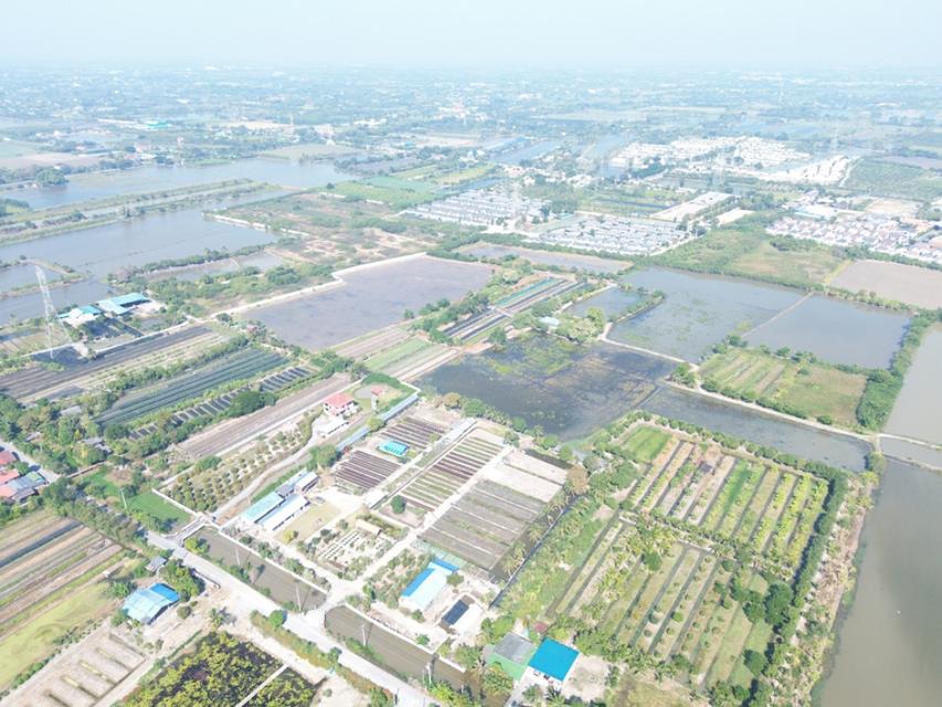 ขาย ที่ดิน บางใหญ่ 43-2-37 ไร่ ติดถนนเลียบคลองรัฐประเสริฐ ใกล้เซ็นทรัลเวสต์เกต แปลงสวย ทำเลดี เหมาะพัฒนาโครงการจัดสรร 6