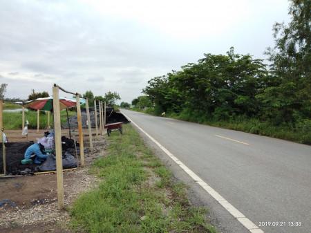 ขาย ที่ดิน 2 ไร่ คลอง 14 หนองเสือ ปทุมธานี ใกล้ถนนเลียบคลอง 14  เจ้าของขายเอง 6