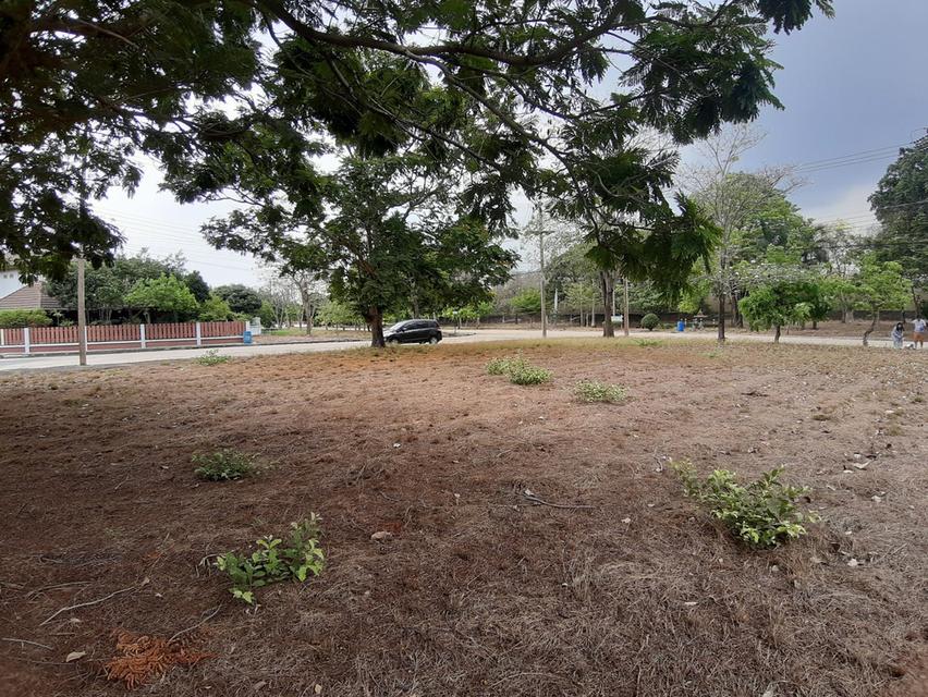 ⛳ขายที่ดินเปล่าเหมาะสำหรับปลูกสร้างบ้าน ในโครงการหมู่บ้านเดอะลากูน1 อำเภอสามโคก จังหวัดปทุมธานี ติดละเลสาป ⛳ 2