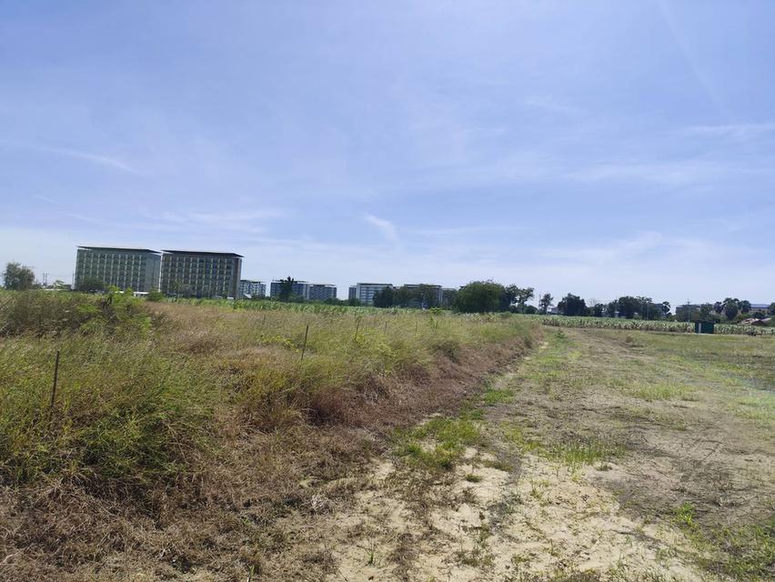 land for sale ขายที่ดินสวยมาก กำแพงแสน แบ่งขายได้ โฉนดพร้อมโอน 200 ตรว แบ่งขายได้ 16