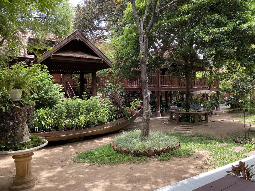 รูป Rent 6-12 Month contract there are 2 types of guest houses for choice in Chiang Mai 4