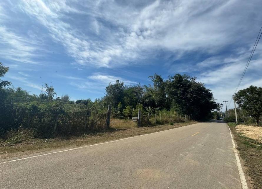 ขายที่ดินเปล่าติดถนน นิคมพัฒนา อำเภอเมืองลำปาง 8