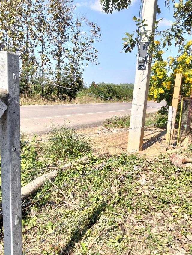 ขายที่ดิน 1 ไร่ 70 ตรว. ต.น้ำร้อน อ.วิเชียรบุรี จ.เพชรบูรณ์ ติดถนนใหญ่ ทำเลดีแหล่งชุมชน ล้อมรั้วรอบ ราคา 780,000 บาทสนใจติดต่อคุณเต้ เจ้าของขายเอง 3