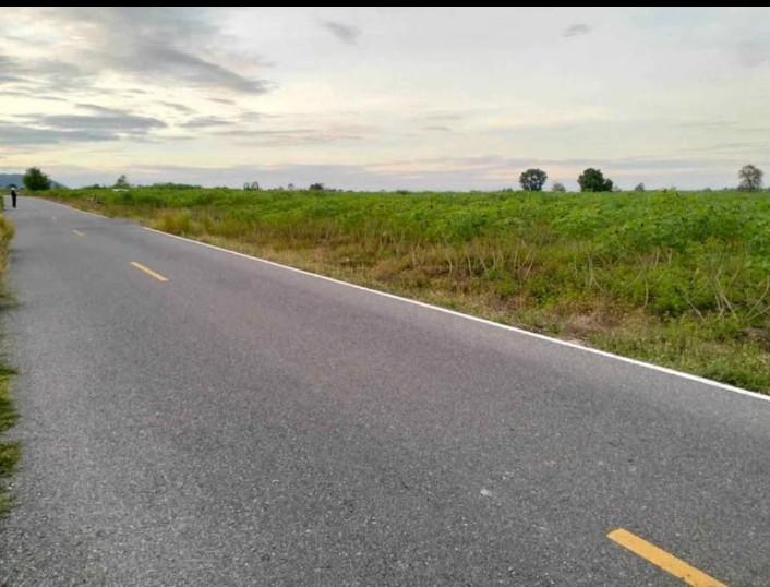 ขายที่ดิน 3