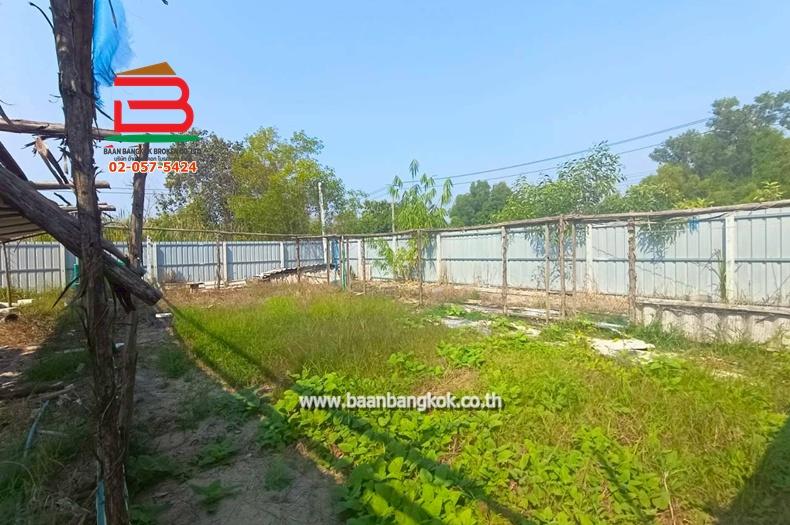 ที่ดินพร้อมสิ่งปลูกสร้าง เนื้อที่ 1 ไร่ ถนนเทศบาล 6/1 ตำบลบึงบา อำเภอหนองเสือ ปทุมธานี 7