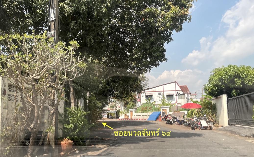 ขายบ้าน 154 ตารางวา ถนนนวลจันทร์ ซอย 64 4