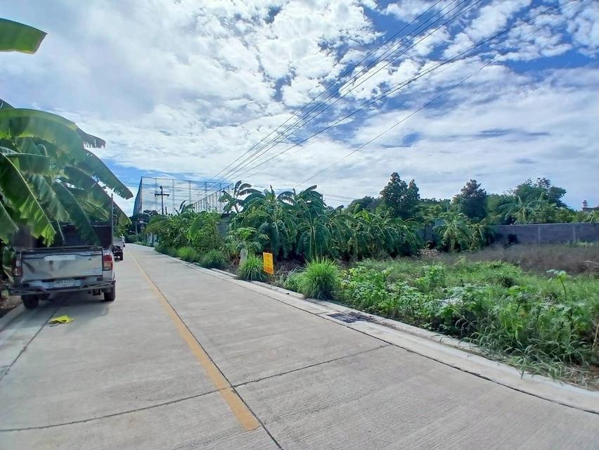 ขายที่ดินเปล่า ซอยสุสวาส14 คลอง4 ลาดสวาย 2