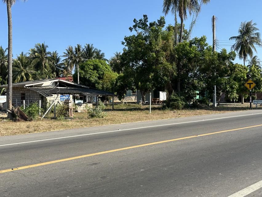 ขายที่ดินกุยบุรี 2.5 ไร่ 3