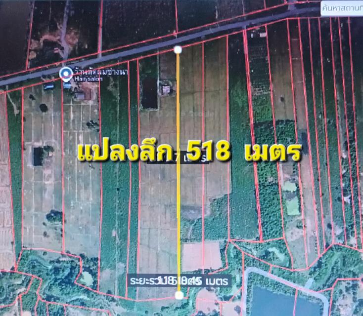 ทีดินแปลงเปล่า 59 ไร่ 1 งาน 34 ตรว. 3