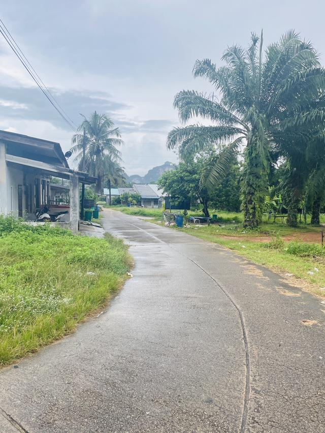 ที่ดิน 6