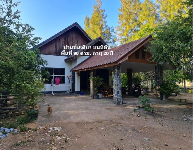 ขาย ที่ดิน ผืนใหญ่แปลงสวย ใกล้พืชสวนโลกโคราช ทำเลทองแห่งอนาคตไกล บ้านวัด ฝั่งตะวันออก 35 ไร่ 1 งาน 26 ตรว ในทำเลศักยภาพส 6