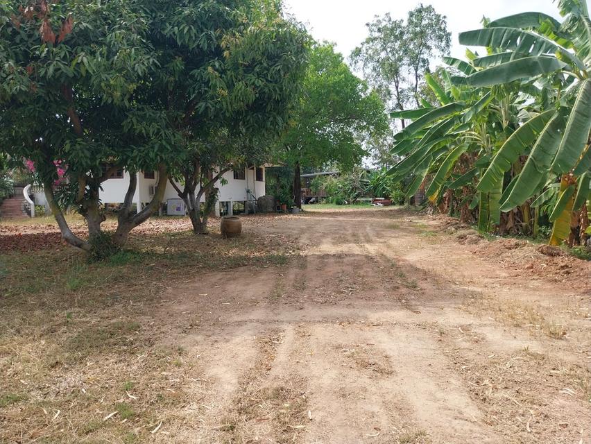 บ้าน2หลัง2แปลง พร้อมที่ดิน  2แปลง 2