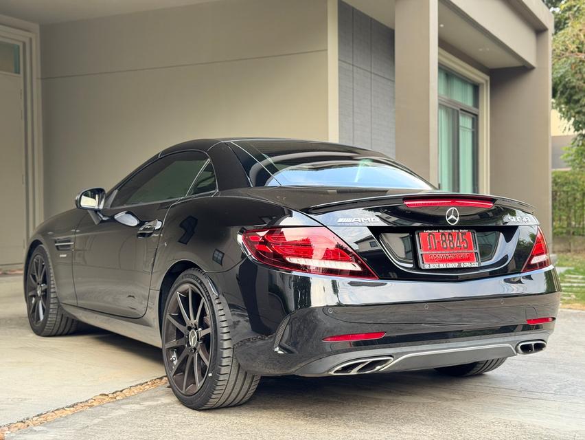 Slc43  AMG 6