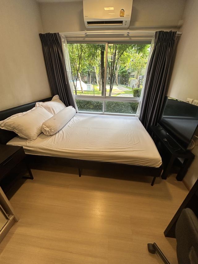 คอนโด พลัม คอนโด อไลฟ์ 2 plum condo alive 2 3