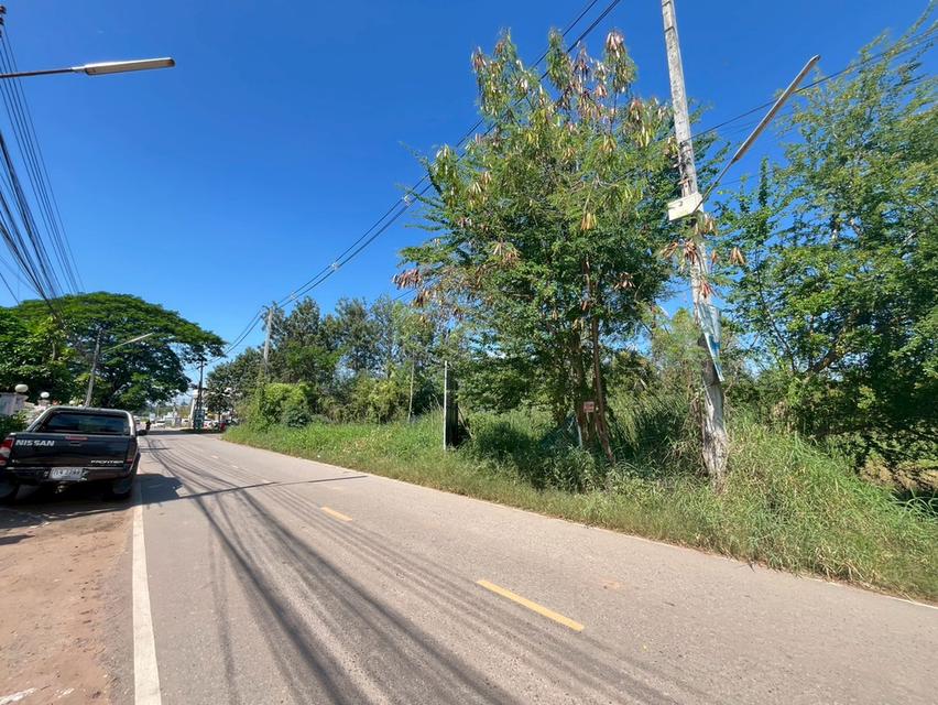 ขายที่ดินขอนแก่น โซน ร.8 3