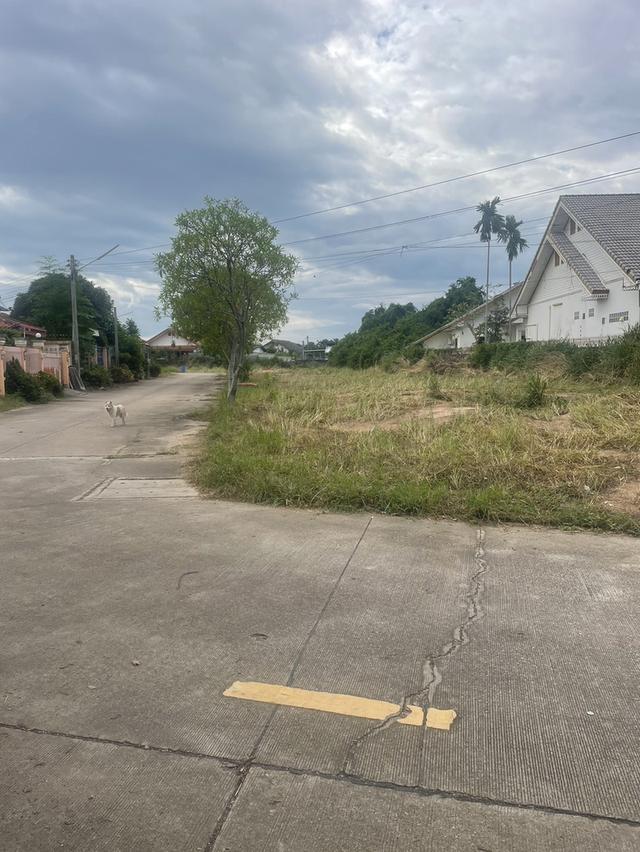 ขายที่ดินเปล่า อ.สัตหีบ ชลบุรี 13