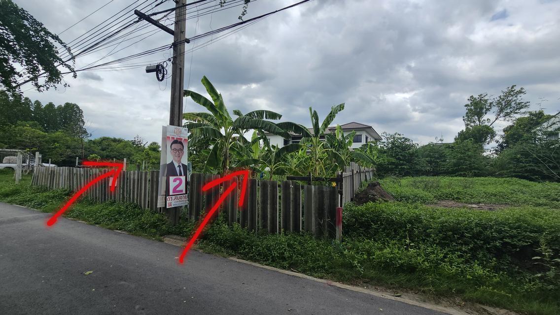 ที่ดินเปล่า ถมแล้ว ย่านตลาดสะพานใหม่ กทม 5