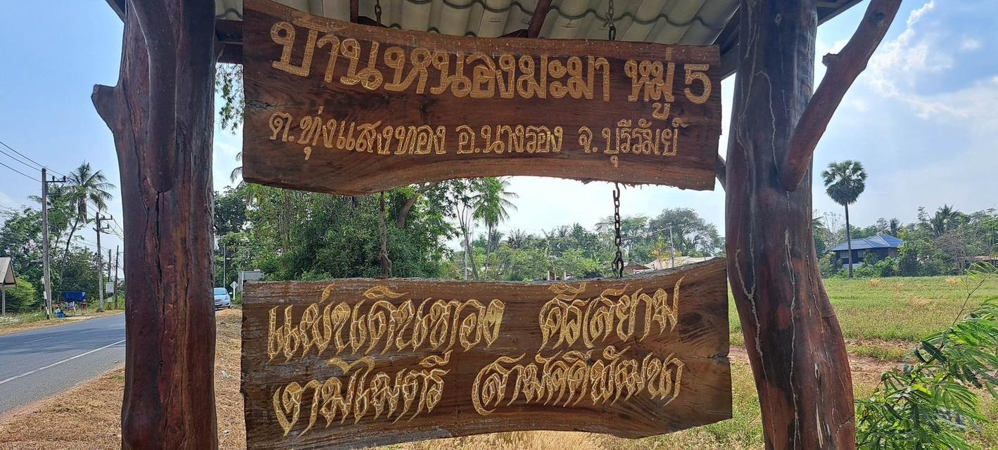 ขายที่ดินด่วน 5