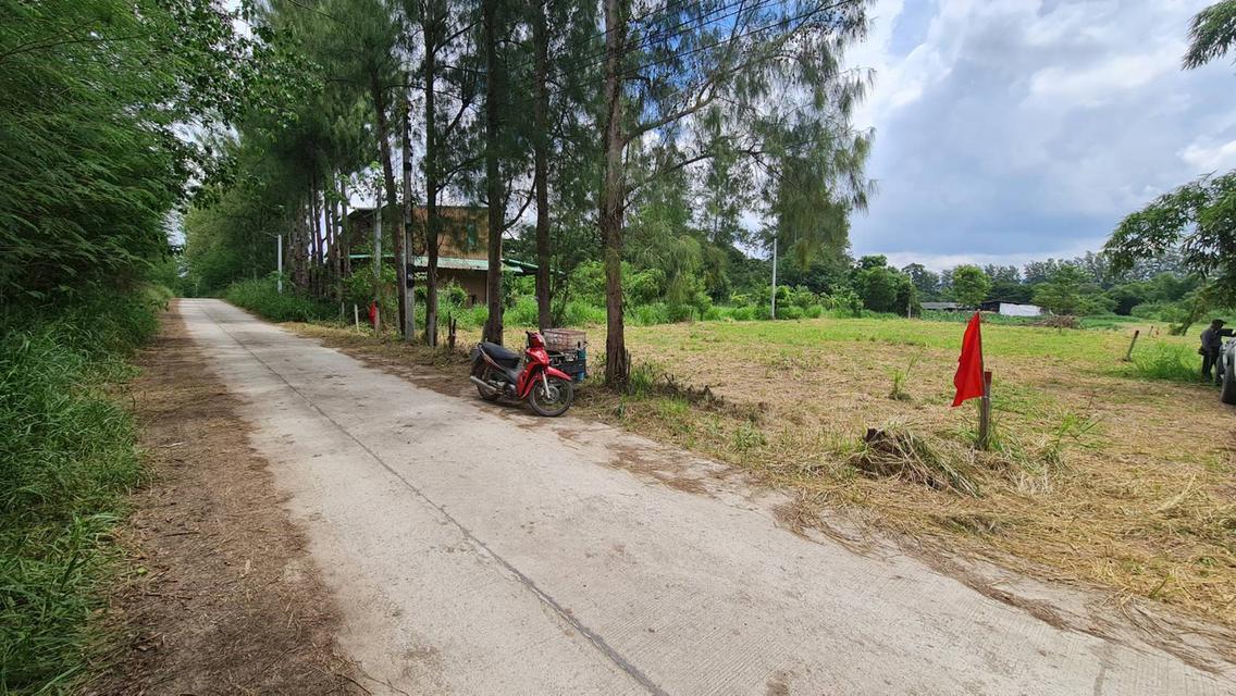 ขายที่ดินแปลงสวย 2 แปลง เริ่มต้น 300 ตร.ว. พร้อมโฉนด นส.4 โซนขนงพระ - ปากช่อง เขาใหญ่ ใกล้มอเตอร์เวย์ M6 7