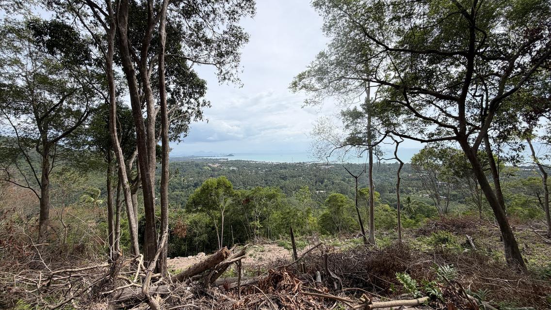 Prime Sunset & Sea View Land for Sale in Koh Samui – A Rare Investment Opportunity! 11