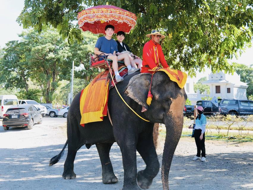 ทัวร์อยุธยา One day trip  by Bemotour  นักท่องเที่ยวไทย : ท่านละ 1,500 บาท 6