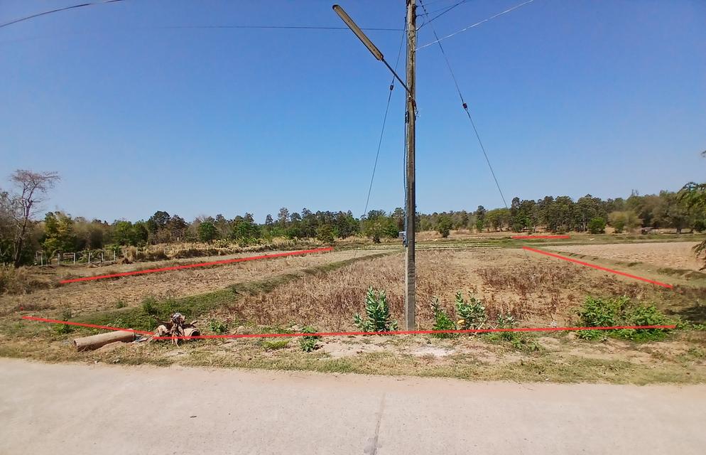 ที่ดินจังหวัดขอนแก่น 9ไร่ 5